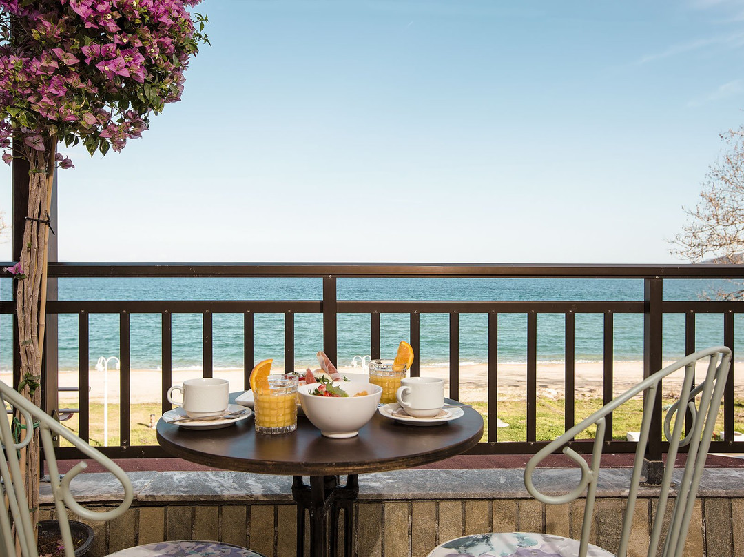 Rhapsody House主图