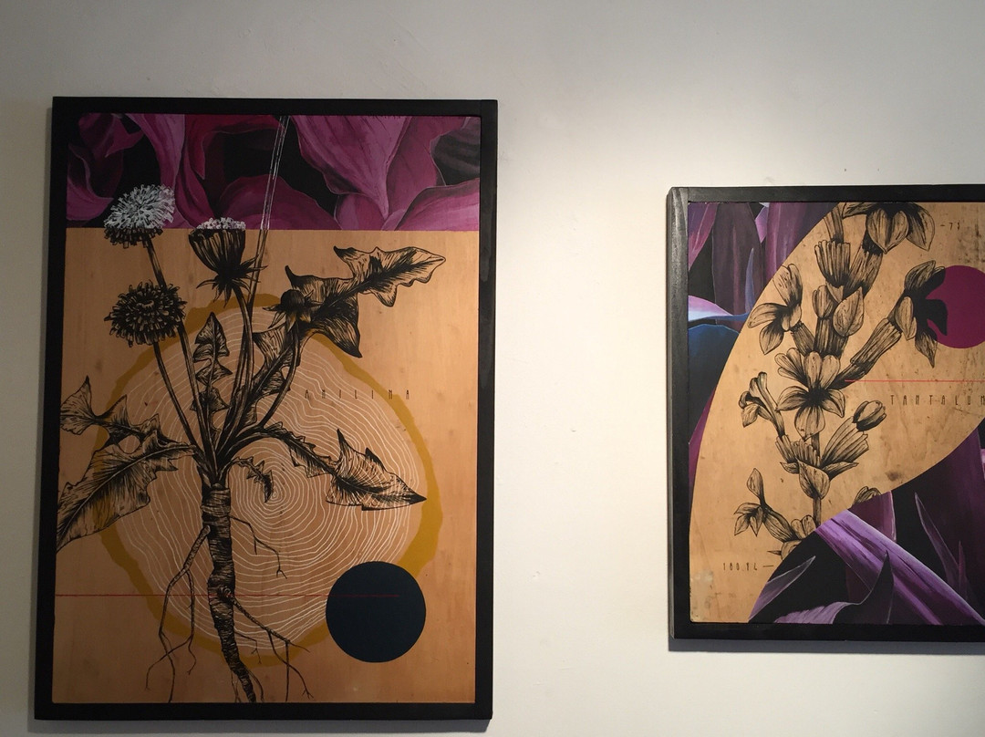 Galo Art Gallery-都灵必去景点