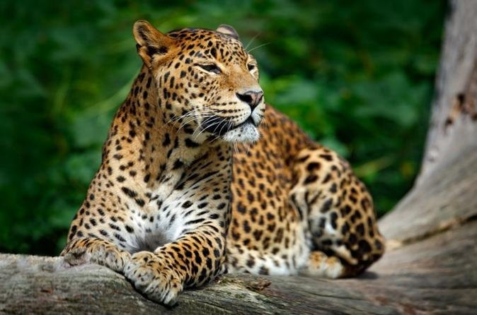 Go Yala Safari Tours-蒂瑟默哈拉默必去景点