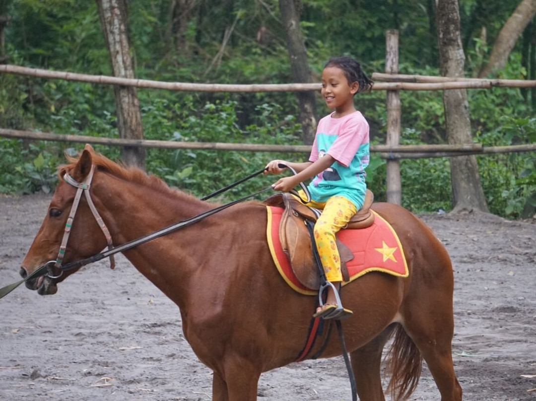 Bale Kuda Stable-Sleman District必去景点