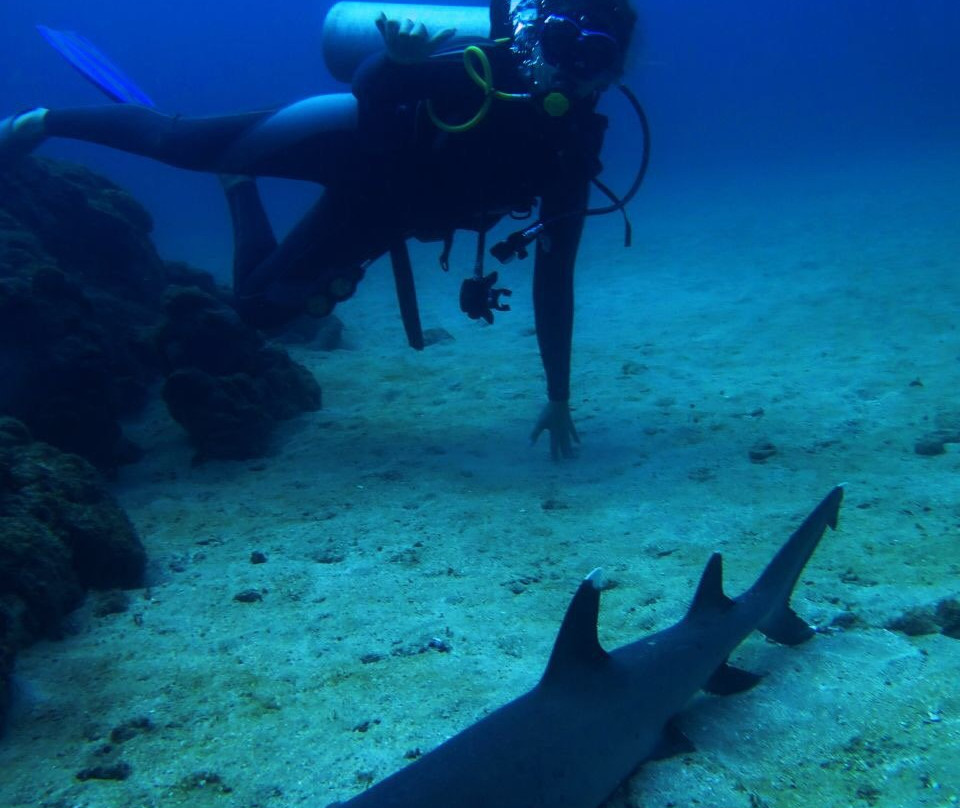 Sierpe River Camp主图