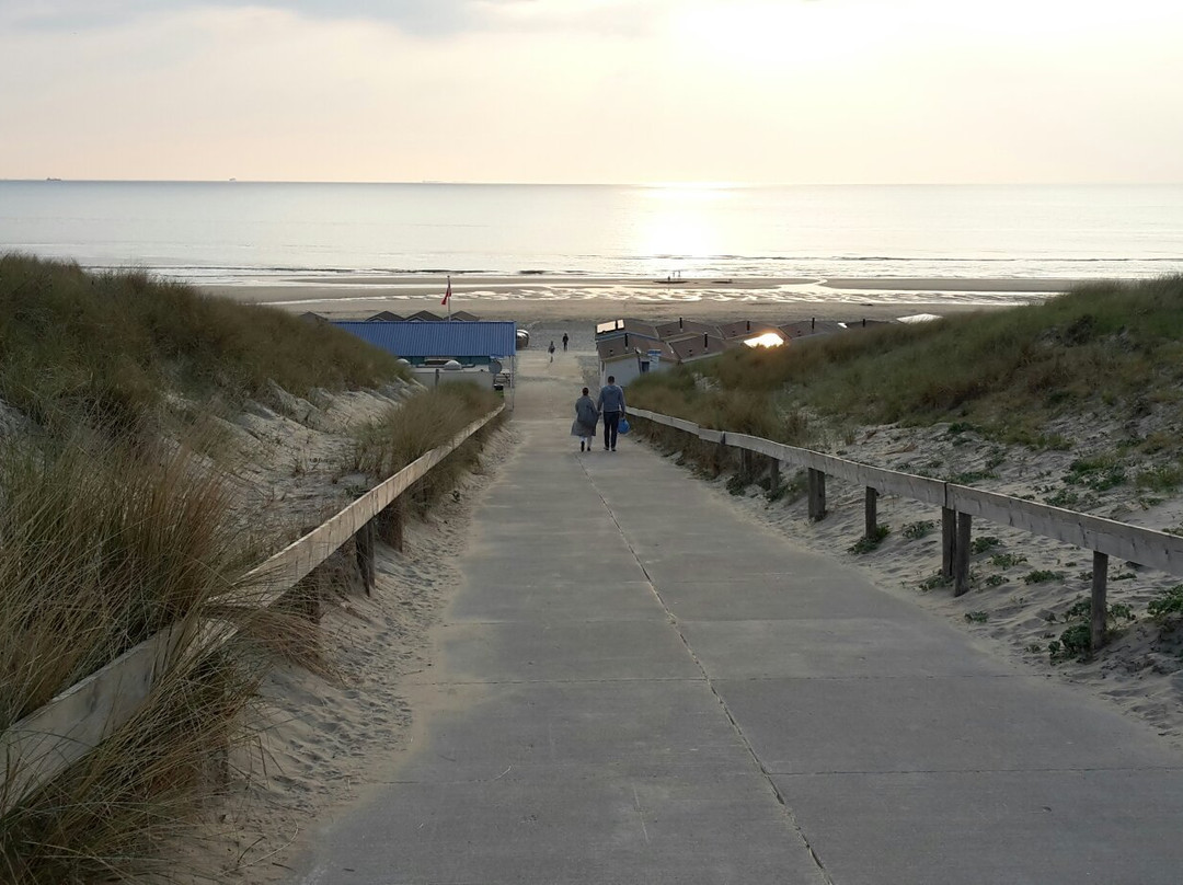 Strand van Wijk aan Zee景点图片