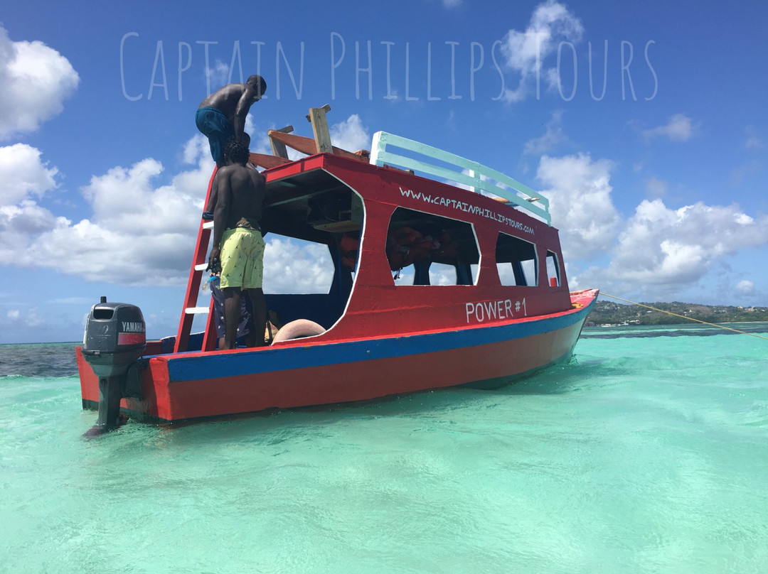 Captain Phillips Tours-Buccoo必去景点