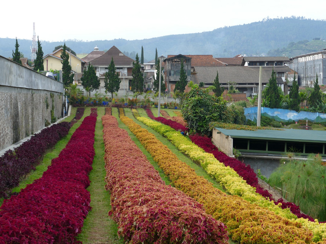 Rainbow Garden景点图片