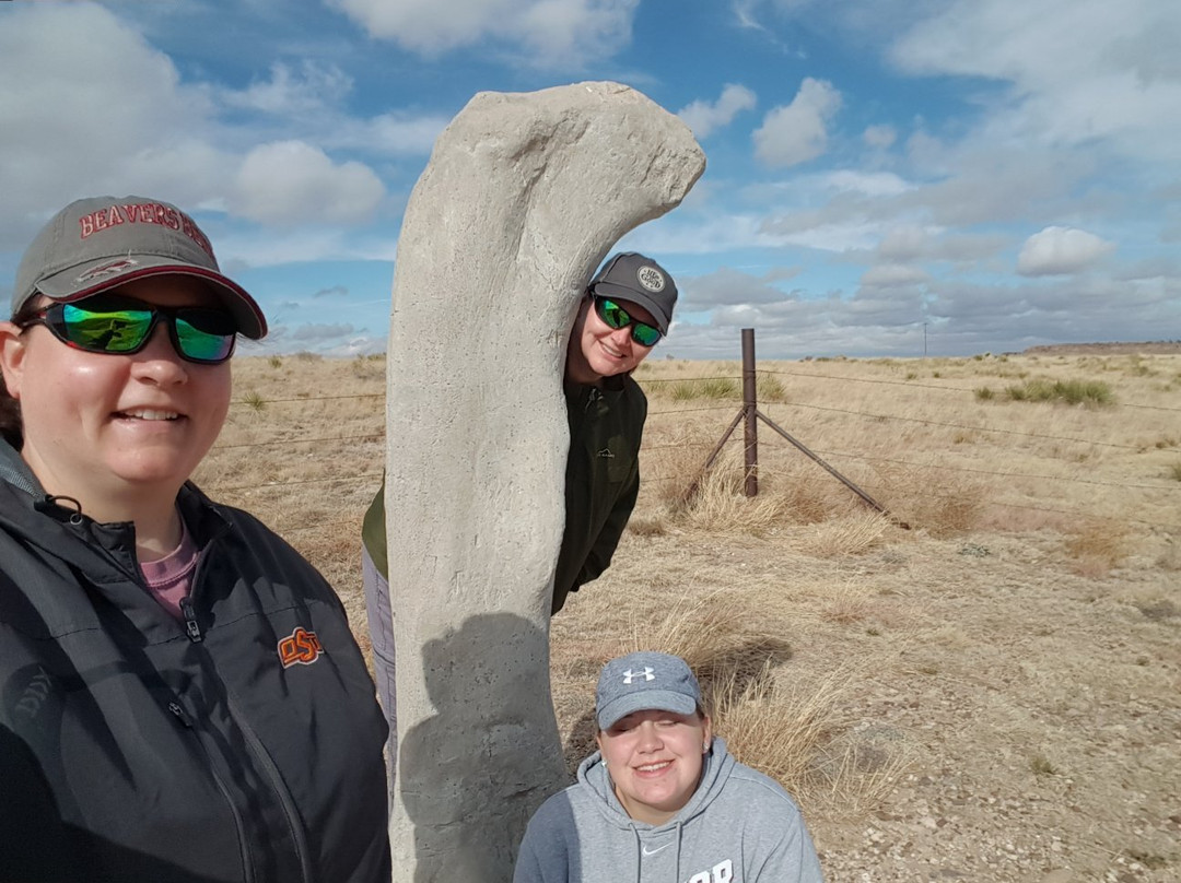 Dinosaur Quarry-Kenton必去景点