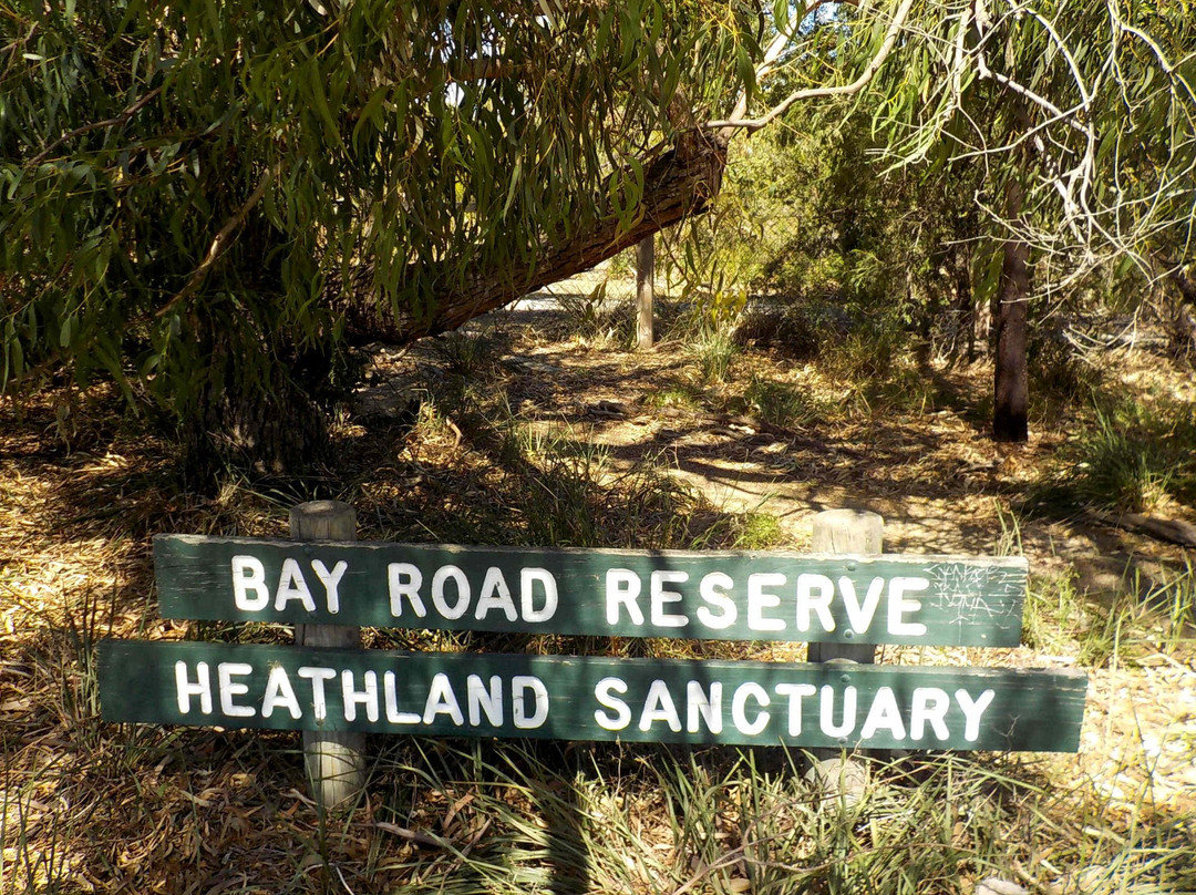 Bay Road Heathland Sanctuary景点图片