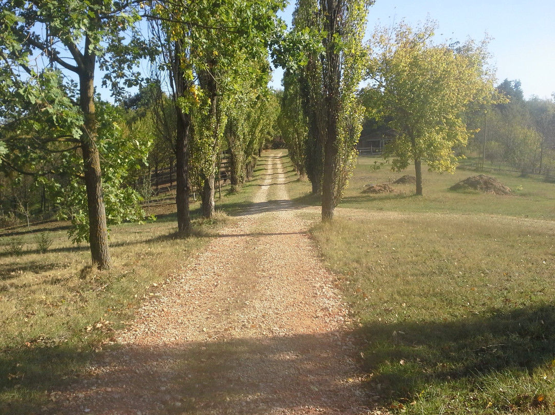 Cascina Barosca Azienda Agricola主图