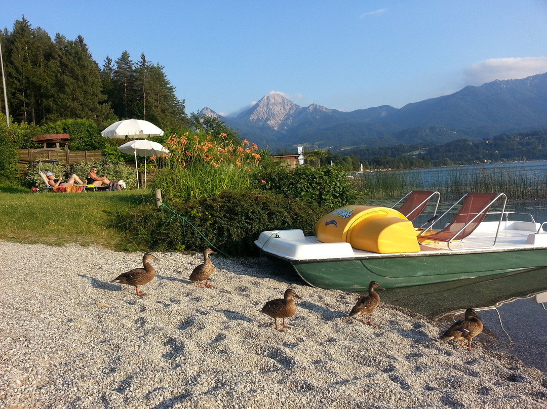 Appartement Pension Seehohe Plus主图