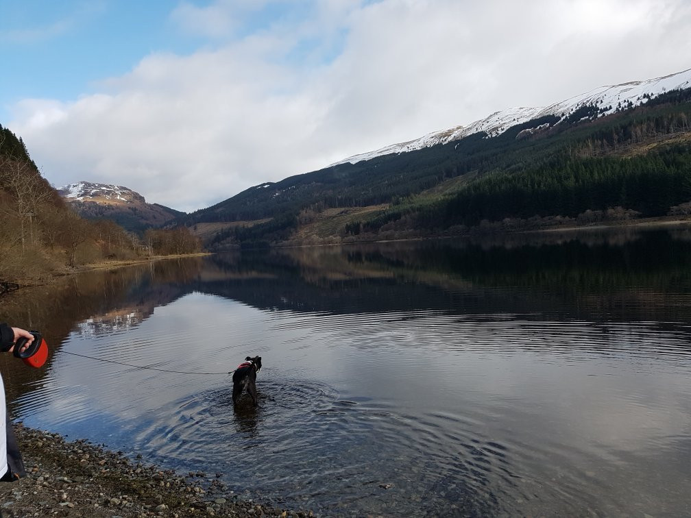 Strathyre Forest Lodge