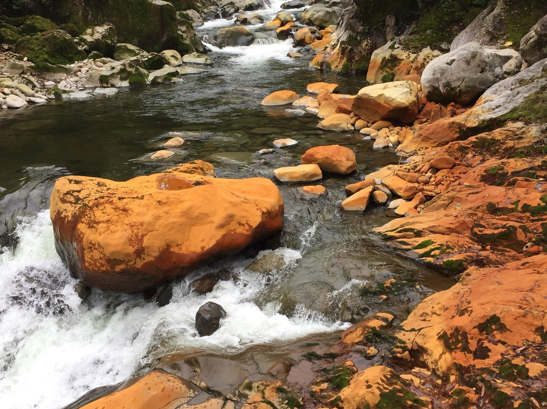 Catarata Río Agrio景点图片