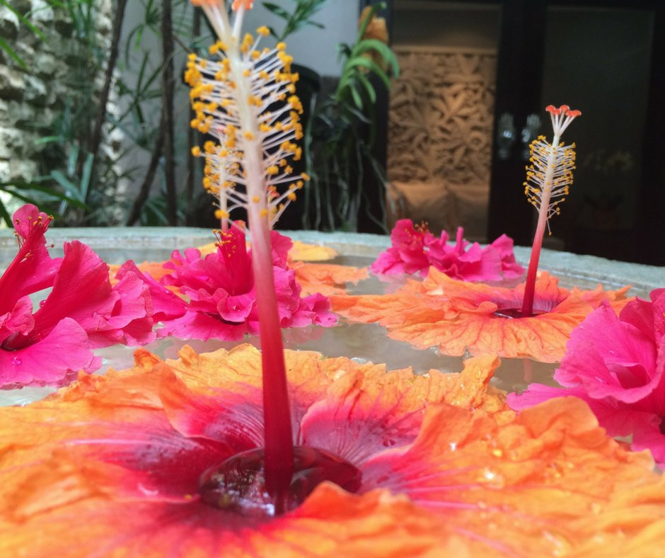 Pure Fiji Spa-苏瓦必去景点