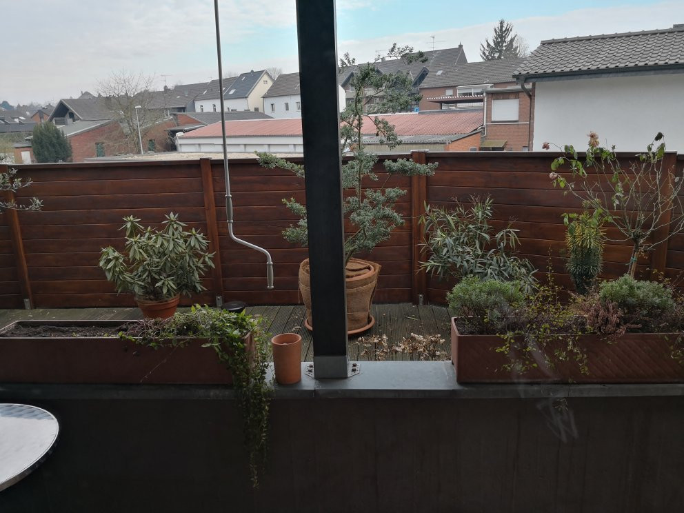 Hotel zum Schiffchen主图