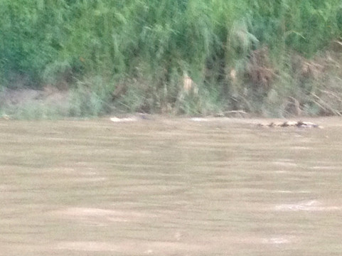 Borneo Sandakan Tours - Day Tours-山打根必去景点