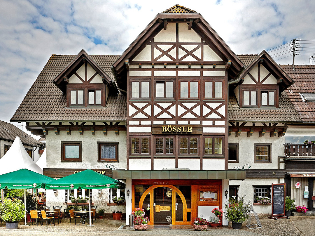 Hotel Landgasthaus Rössle主图