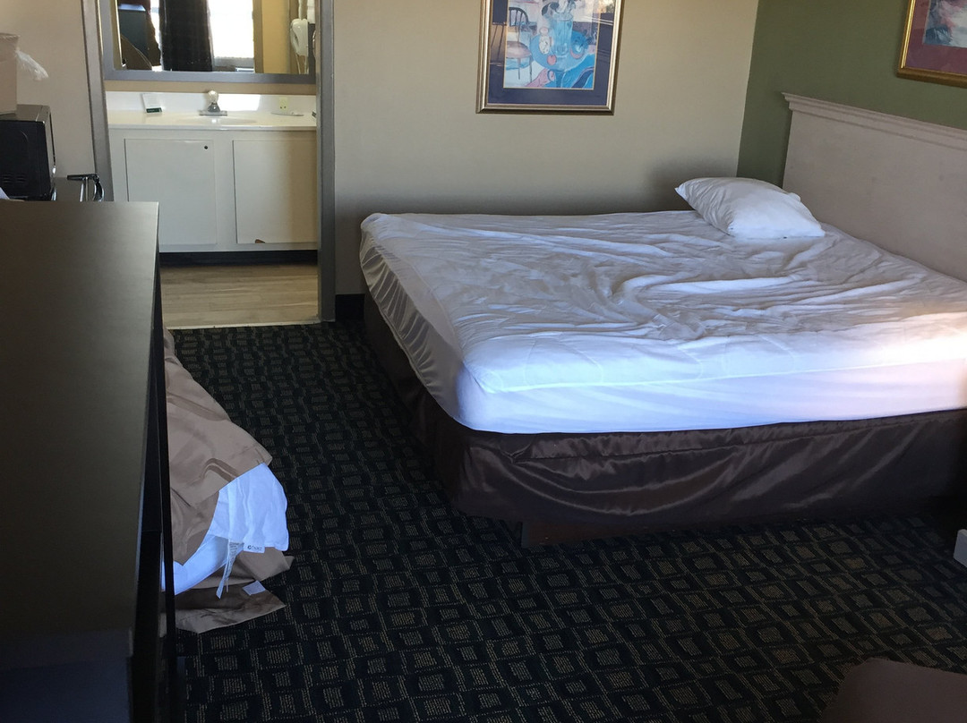 Quality Inn & Suites Brooksville I-75 / Dade City主图