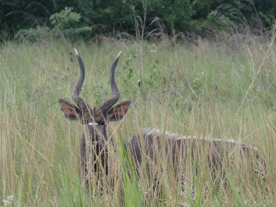 Drifters Hazyview Inn主图