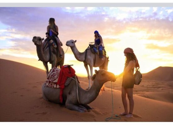 Camel Ride Trips景点图片
