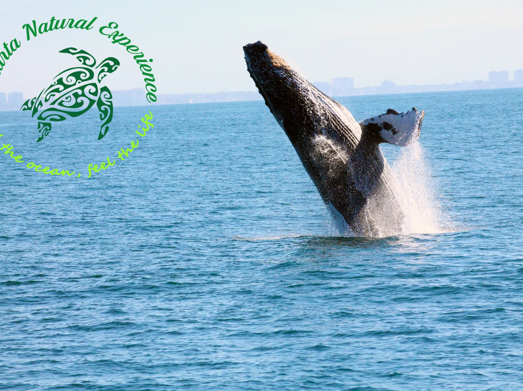 Vallarta Natural Experience-瓦拉塔港必去景点