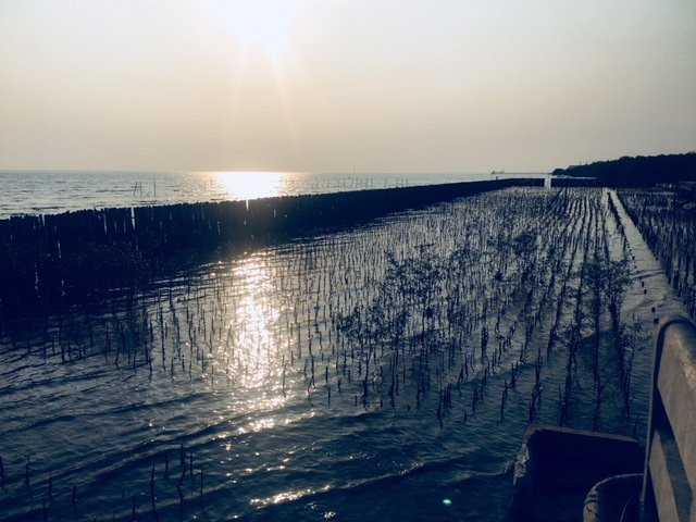 Bangpu Nature Education Center-北揽必去景点