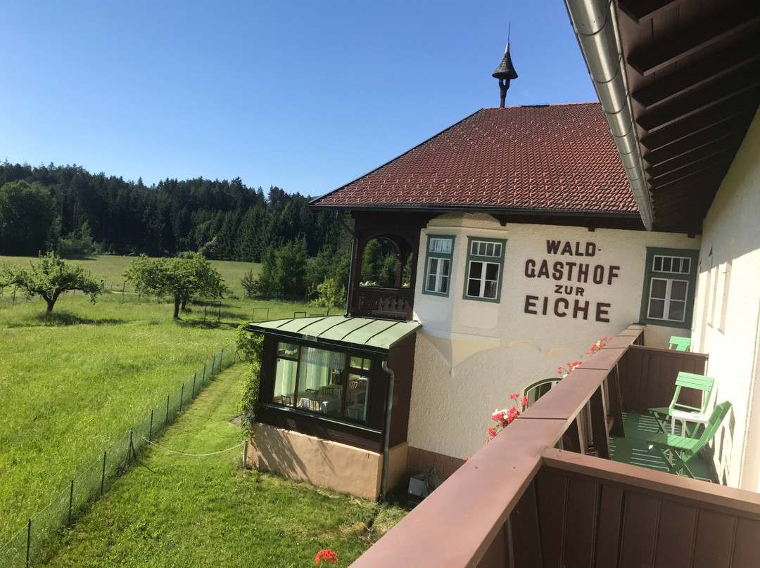 Landhotel Gasthof Eichhof主图