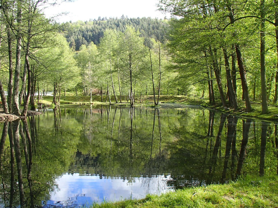 Saint-Cierge-sous-le-Cheylard旅游攻略图片