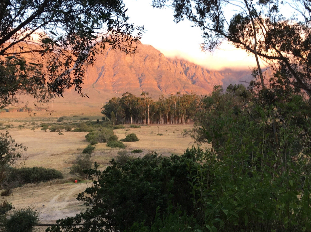 Bartholomeus Klip Farmhouse主图