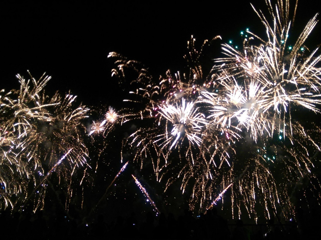 Adachi Fireworks-足立区必去景点