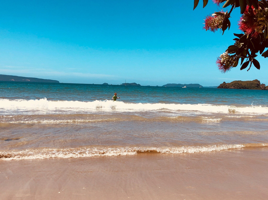 Opito Bay Beach景点图片