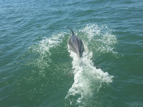 Stag Watersports-曼杜拉必去景点