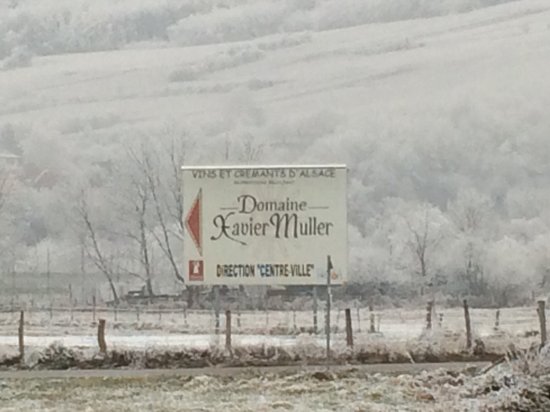 Domaine Xavier Muller-马兰海姆必去景点
