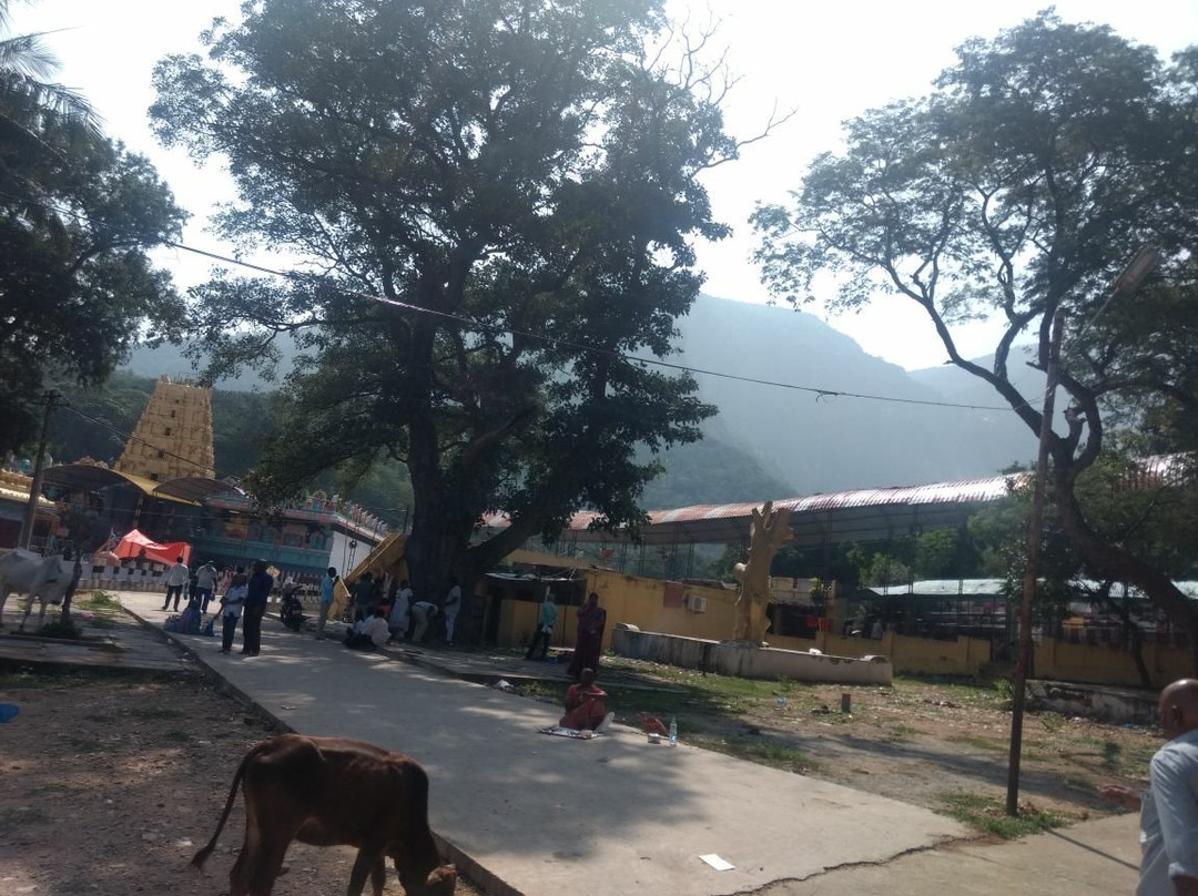 Penchalakona Temple景点图片