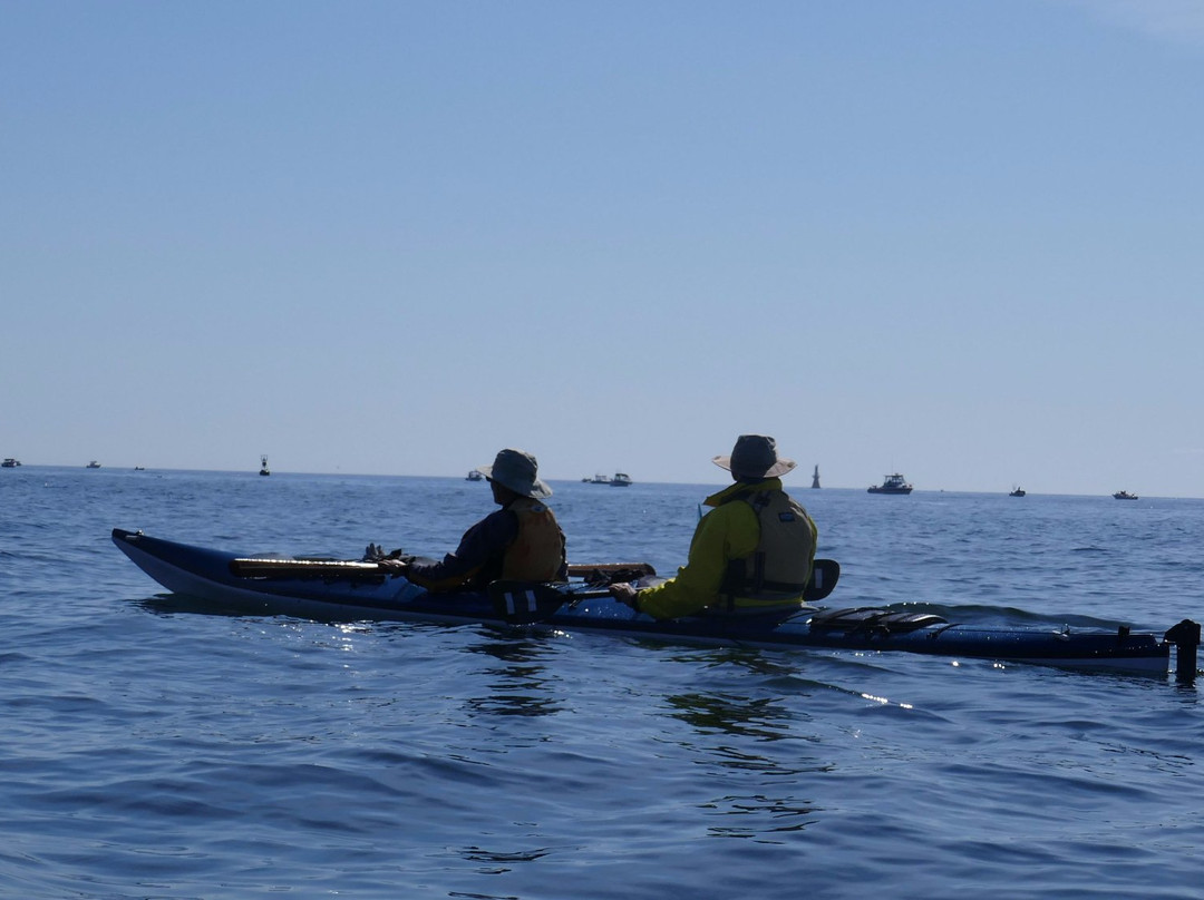 Go Kayak Sea Kayak Instruction景点图片