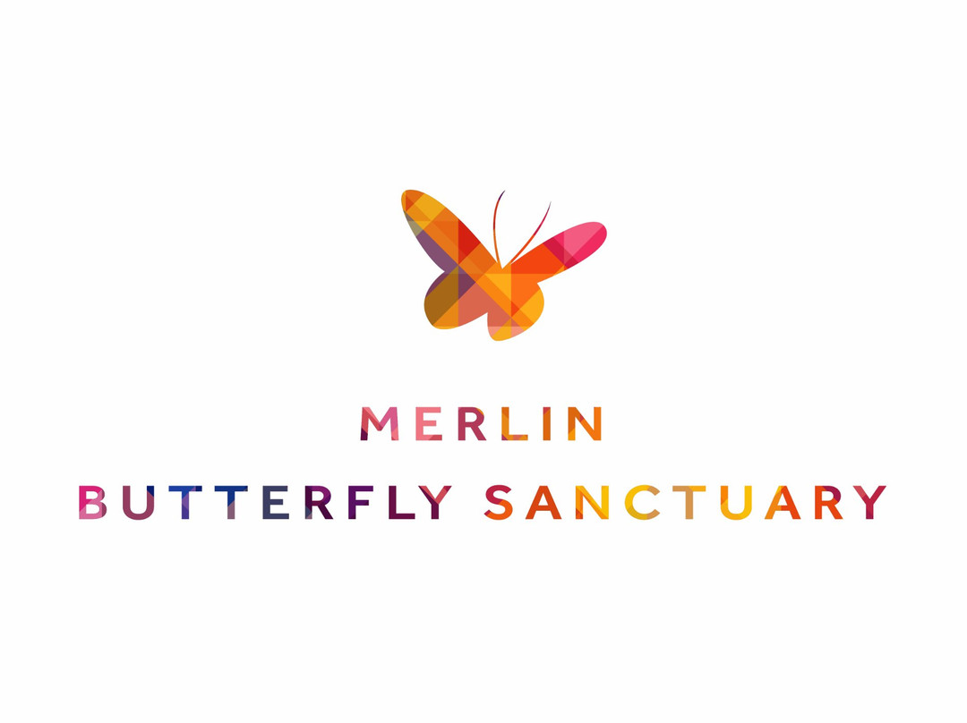 Merlin Butterfly Sanctuary-芭东海滩必去景点