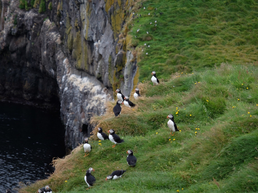 Papeyjarferdir-Djupivogur必去景点