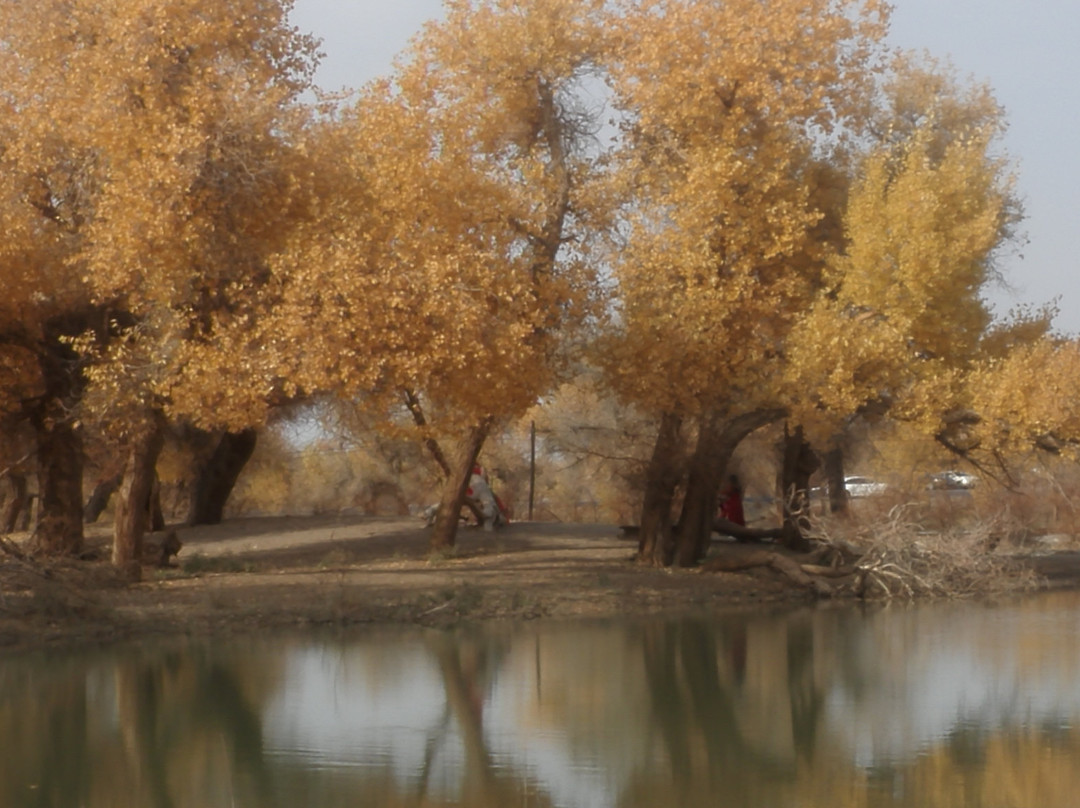 金胡杨国际风情商业街-额济纳旗必去景点
