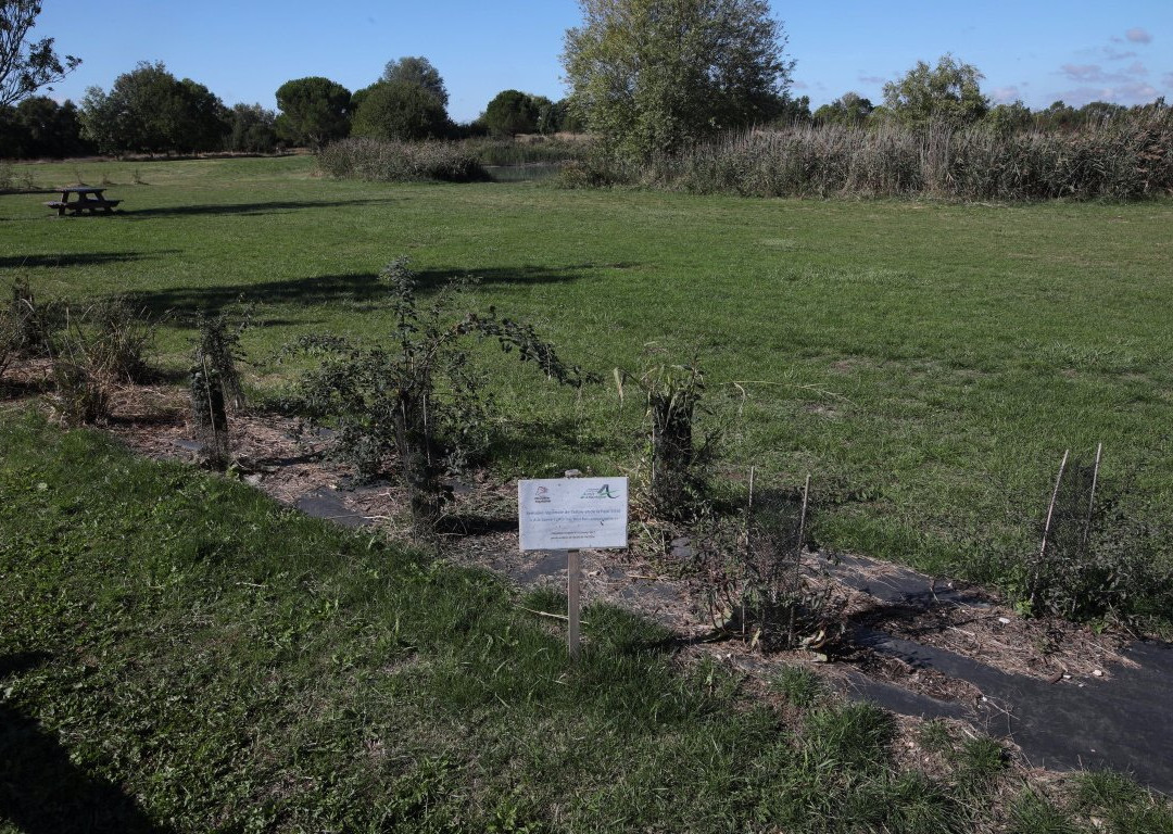 Pole-Nature du Marais Poitevin景点图片