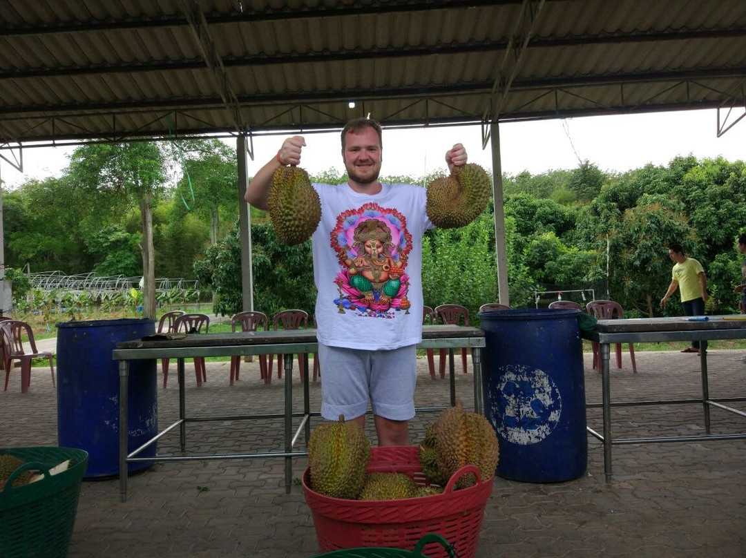 Suan Saengdad-罗勇必去景点