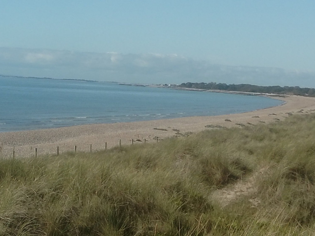 West Beach Local Nature Reserve景点图片