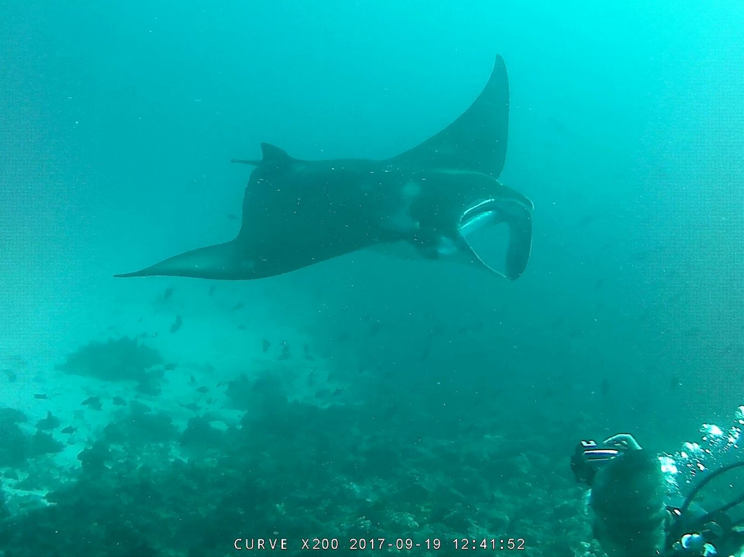 Serene Ocean-图杜岛必去景点