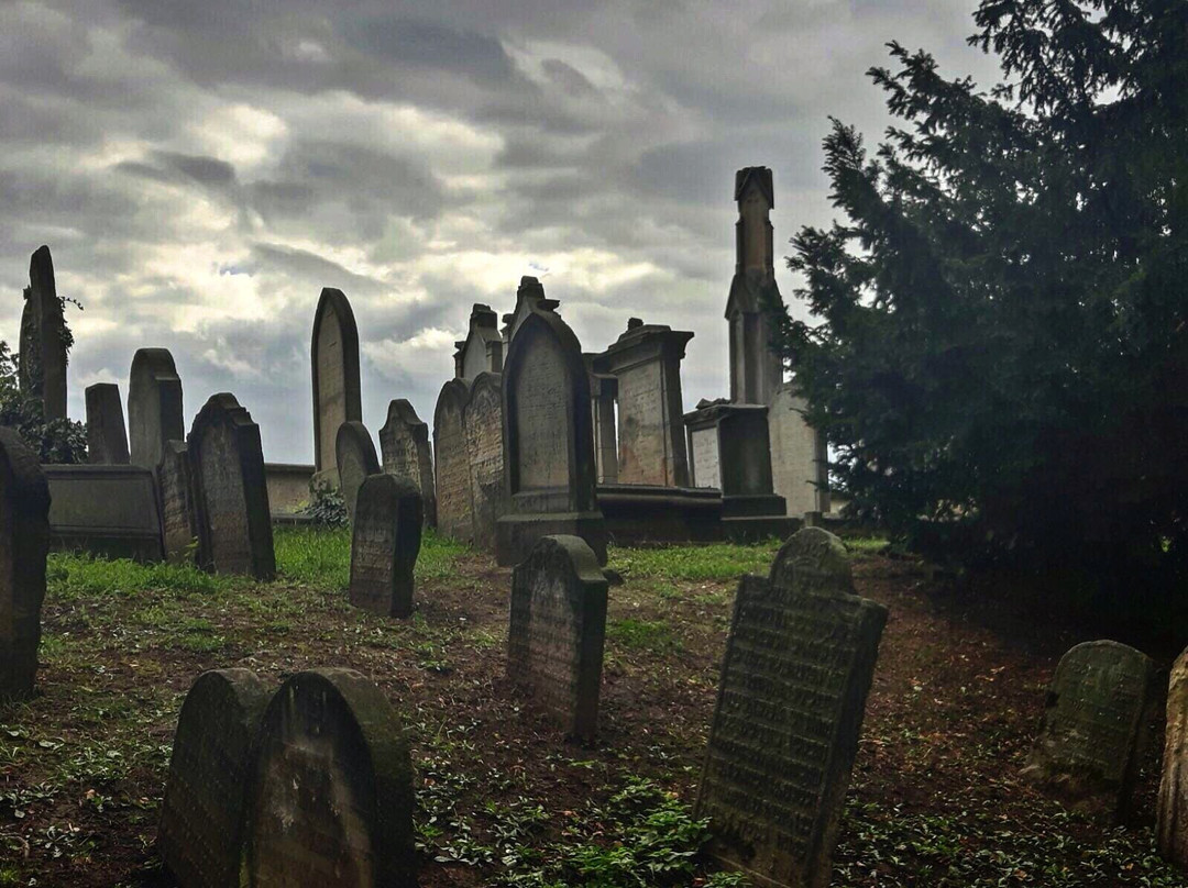 Old Jewish Cemetery-Novy Bydzov必去景点