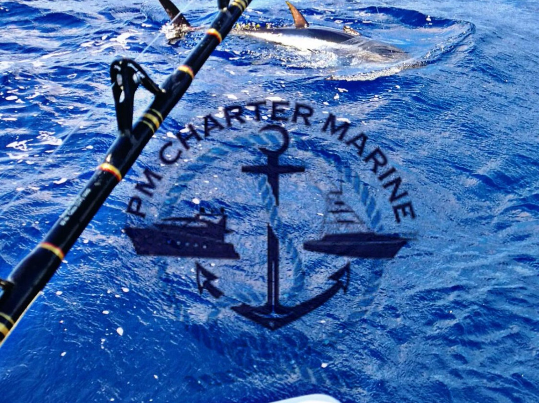 Charter Marine-波连萨必去景点