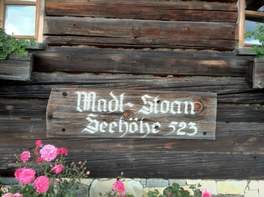 Lohninger's Heidelbeergarten-Seewalchen am Attersee必去景点