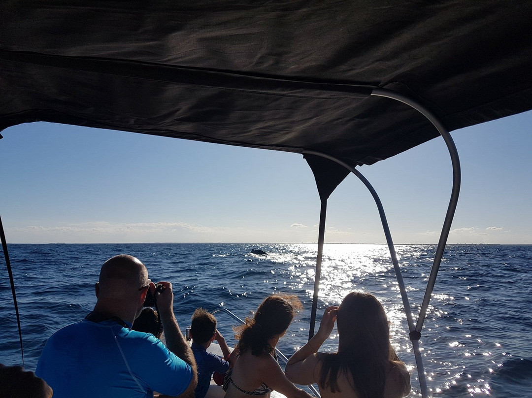 Moz Adventures, Lda-Nacala必去景点