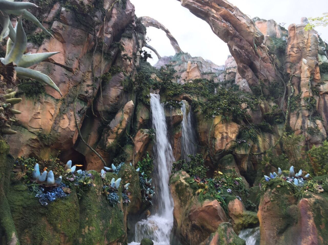 迪斯尼动物王国-奥兰多必去景点