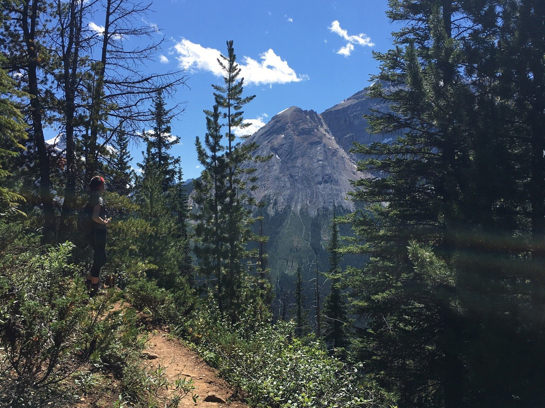 Paget Peak景点图片