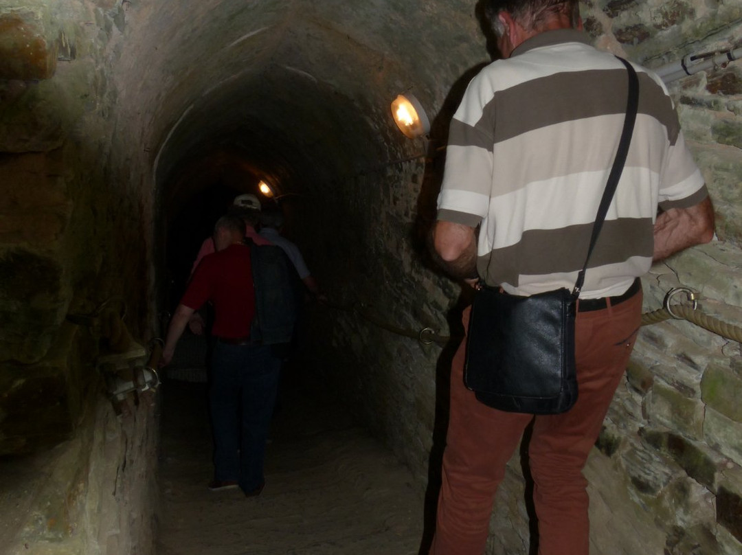 Chateau Medieval de Pouance景点图片