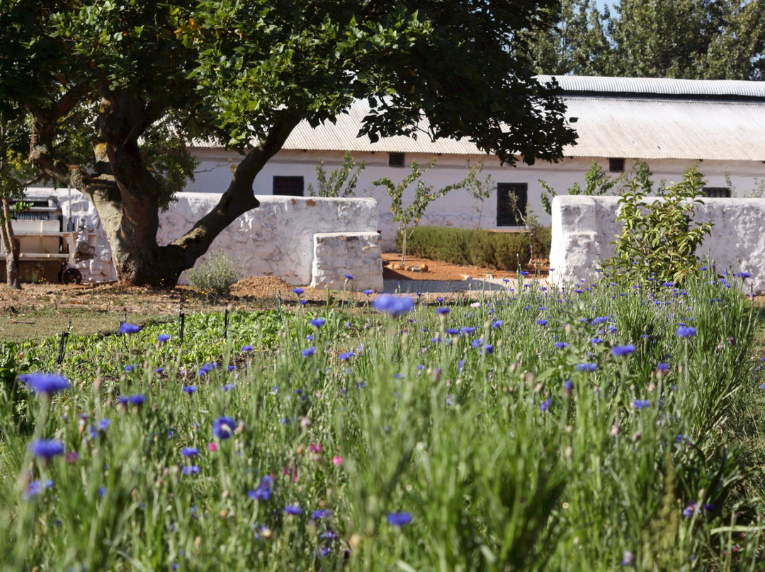 Joostenberg Farm主图