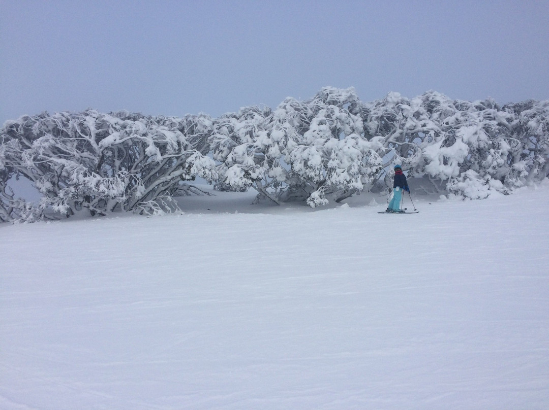 Hoys Mt Hotham Ski Shop-Hotham Heights必去景点