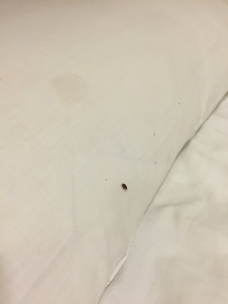 到此一栈 - 香港台湾青年背包旅馆-浴室