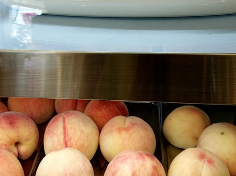 Kichijien-熊本市必去景点